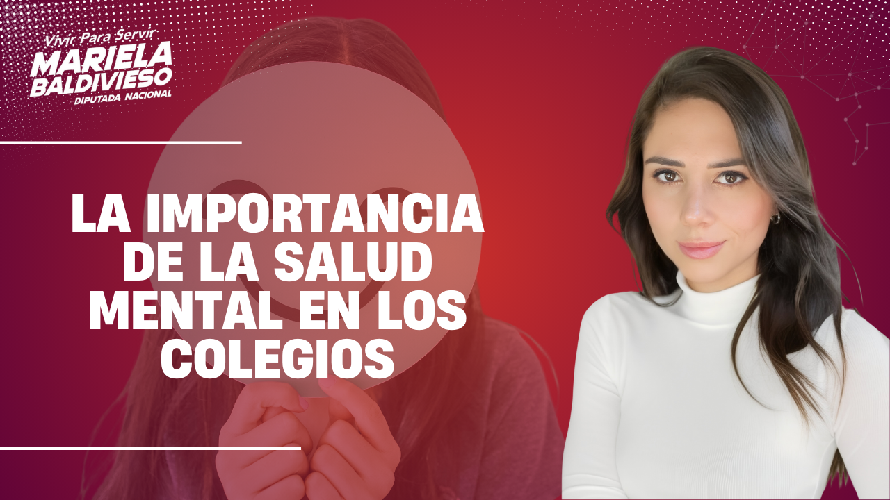 Diputada Mariela Baldivieso presenta minuta de comunicación para incorporar psicólogos en Unidades Educativas del país